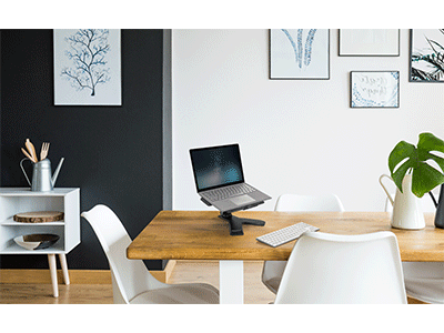 ERGOTRON Neo-Flex Notebook Lift Stand