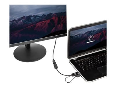 STARTECH HDMI to DP 1.2 Adapter - 4K