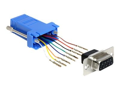 DELOCK Adapter D-Sub9 -> RJ45 Bu/Bu Montagesatz