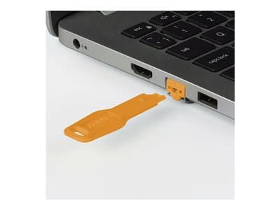 LINDY Schlüssel für RJ45 Port Schloss, Oran (47897 u 47898)