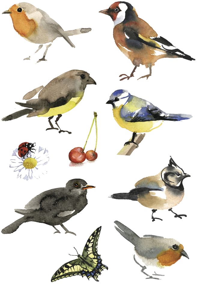 HERMA Sticker DECOR , Aquarell Vögel,