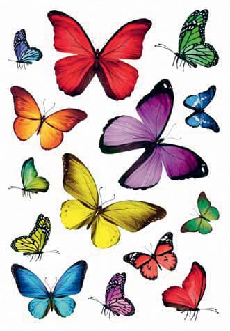HERMA Sticker DECOR , Schmetterlingsvielfalt,