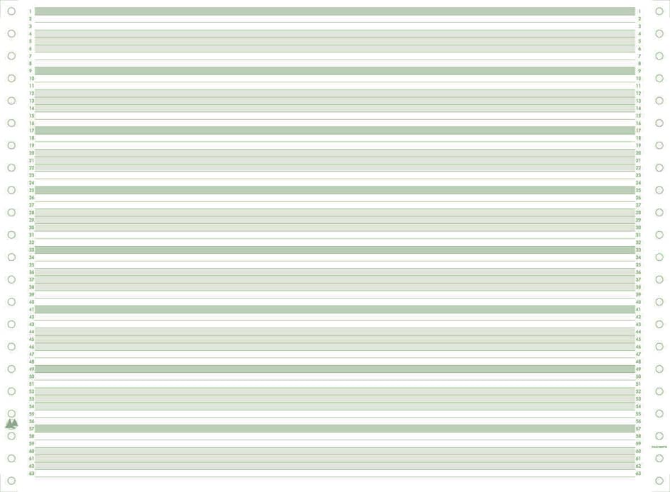 EXACOMPTA Computerpapier endlos, 380 mm x 11, (27,94 cm)