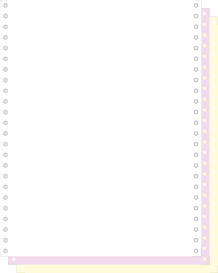 EXACOMPTA Computerpapier endlos, 240 mm x 12, (30,48 cm)