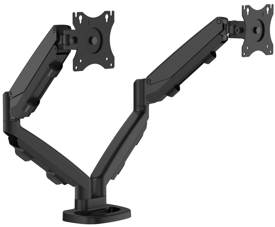 Fellowes Doppel-Monitorarm Eppa, schwarz