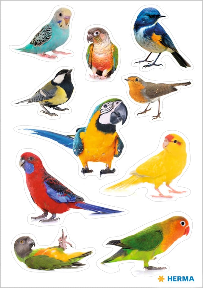 HERMA Sticker DECOR , Vögel, , aus Papier