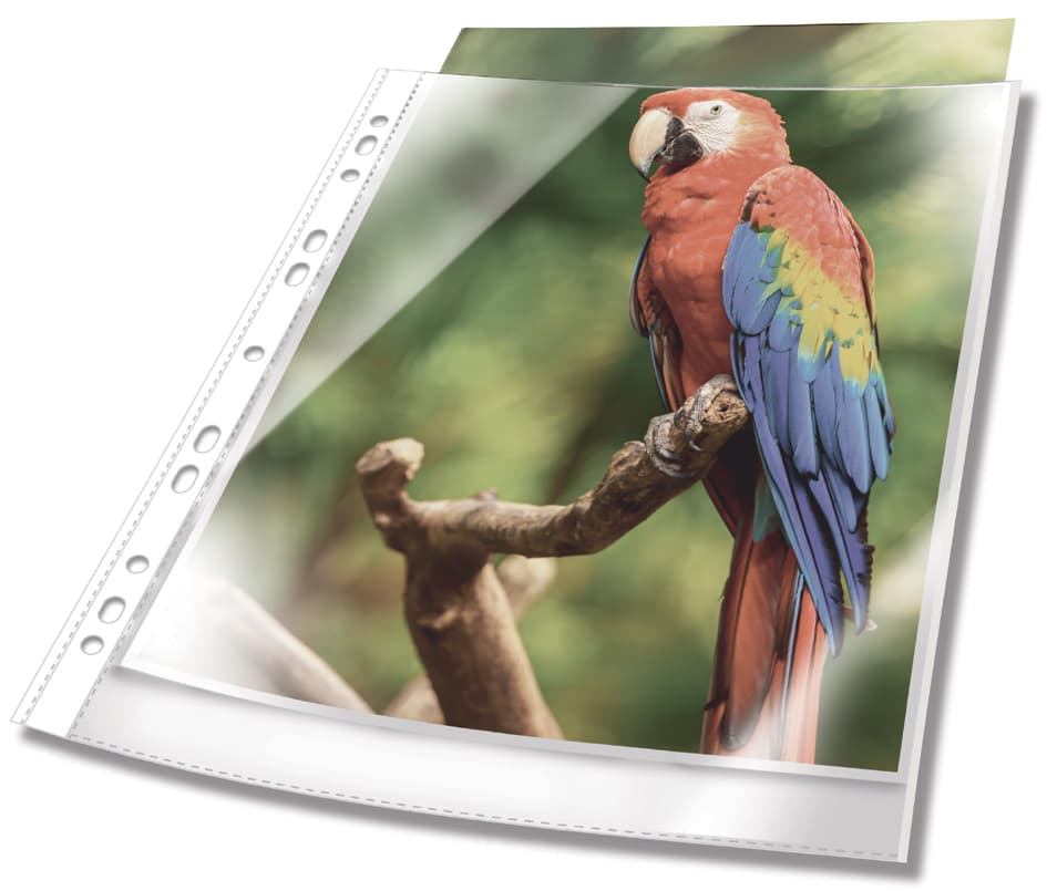 DURABLE Prospekthülle PREMIUM, DIN A4, PP, Rand rot
