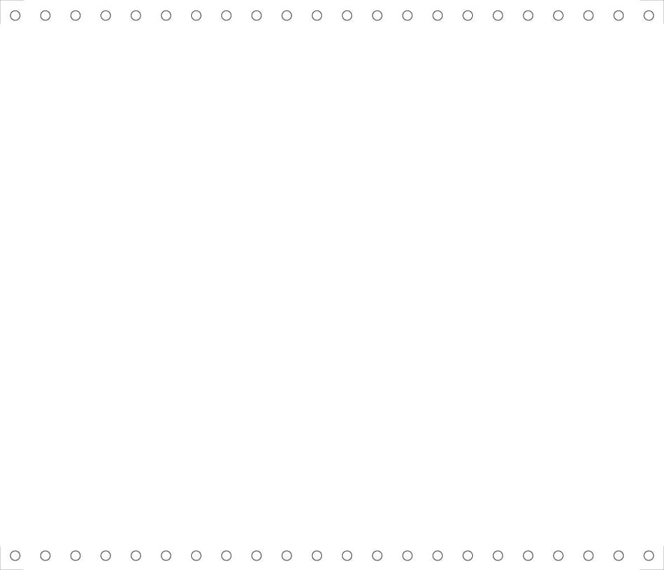 EXACOMPTA Computerpapier endlos, 240 mm x 11, (27,94 cm)