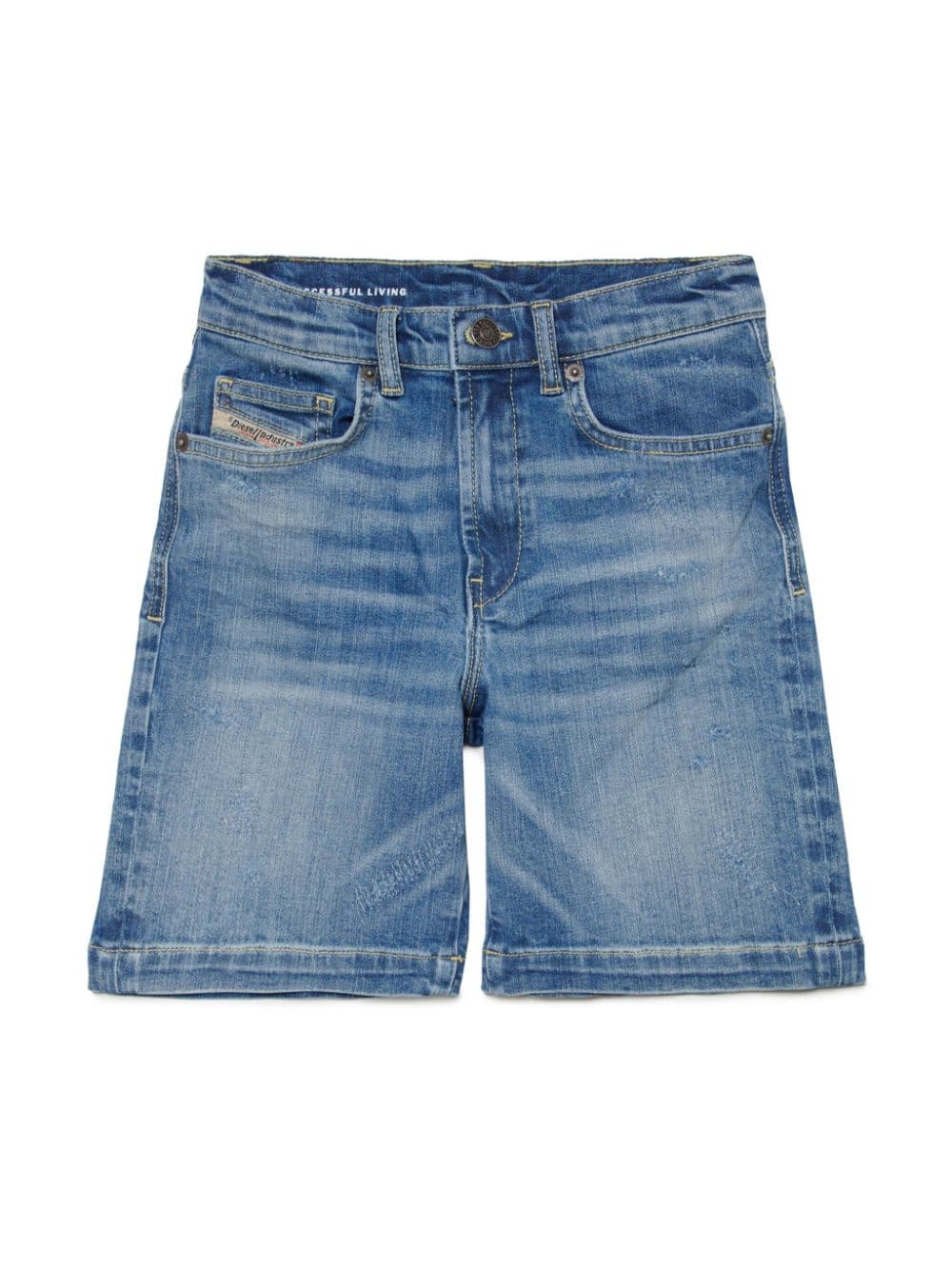 bermuda bambino
