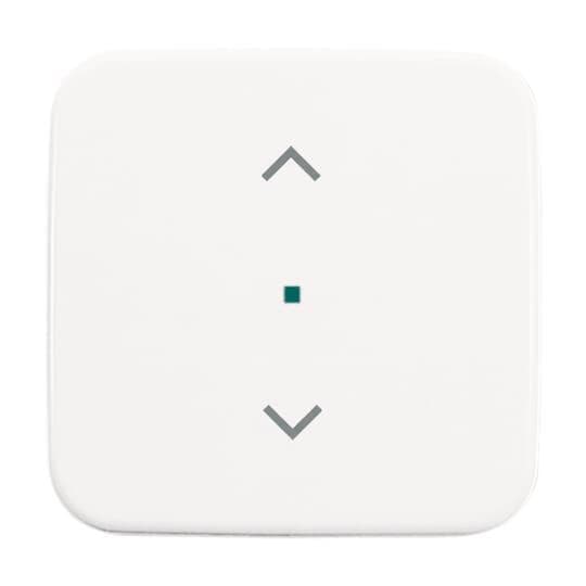 BJ Wippe 1-fach Symbol 6232-10-214 Jalousie Busch-free@home alpinweiß