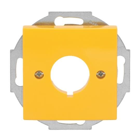 BJ Zentralscheibe 22,5mm 2533-914-15 gelb m.Tragring Busch-balance SI