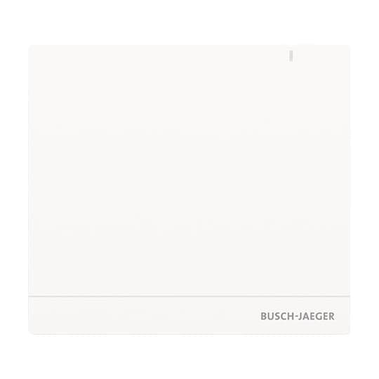 BJ System Access Point 2.0 SAP/S.13 Busch-free@home Systemkomponenten/ Zube