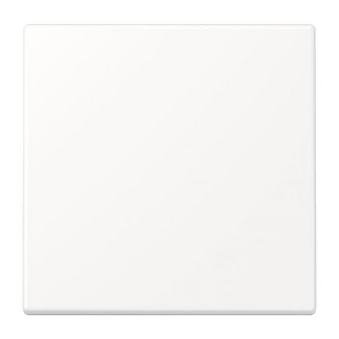 Jung Wippe f.Schalter/Taster LS990WWM schneeweiß matt