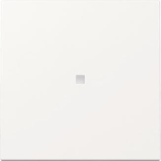 GIRA 329003 Wippe Kontrollfenster System 55 Reinweiß glänzend