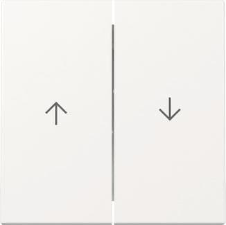 GIRA 329403 Wippe 2fach Pfeil System 55 Reinweiß glänzend