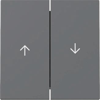 GIRA 329428 Wippe 2fach Pfeil System 55 Anthrazit
