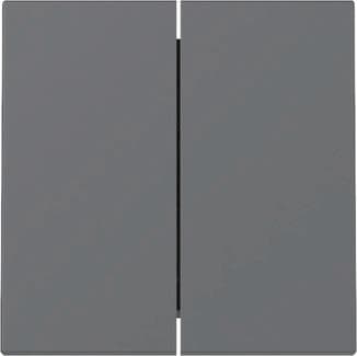 GIRA 329528 Wippe 2fach System 55 Anthrazit