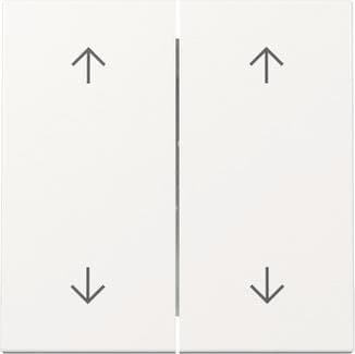 GIRA 329703 Wippe 2fach Pfeile System 55 Reinweiß glänzend