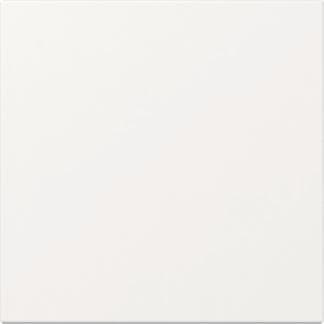 GIRA 349603 Wippe gerade System 55 Reinweiß glänzend