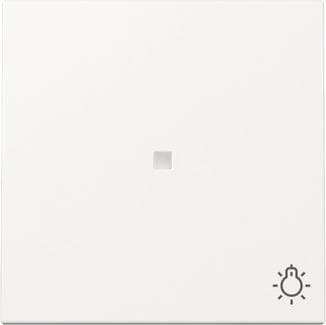 GIRA 367403 Wippe Kontrollfenster+Symbol Licht System 55 Reinweiß glänzend