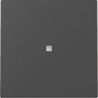 GIRA 3290005 Wippe Kontrollfenster System 55 Schwarz matt (lackiert)