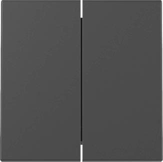 GIRA 3295005 Wippe 2fach System 55 Schwarz matt (lackiert)