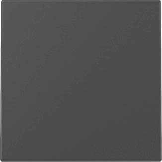 GIRA 3296005 Wippe System 55 Schwarz matt (lackiert)