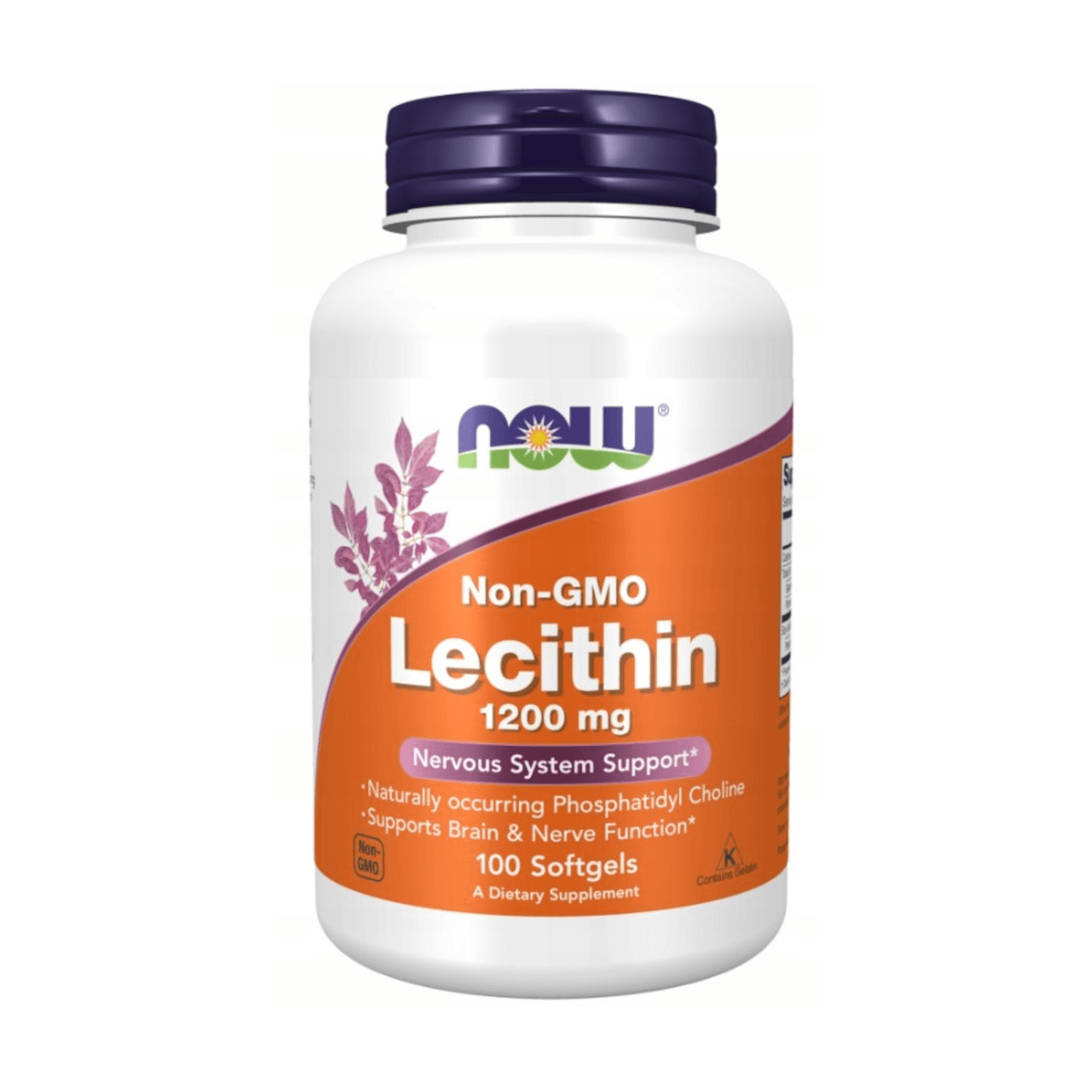 Pamięć i Koncentracja Lecytyna Now Foods Lecithin 1200mg 100kaps