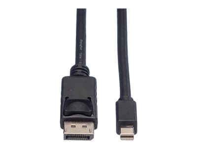 ROLINE DisplayPort Kabel DP 5m