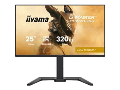 IIYAMA 68.6cm (24,5) GB2591HSU-B1 16:9 2xHDMI+DP+2xUSB-C