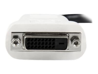 STARTECH DP auf DVI Adapter/ Konverter