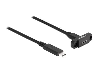 DELOCK SuperSpeed USB 10 Gbps (USB 3.2 Gen 2) Kabel USB Type