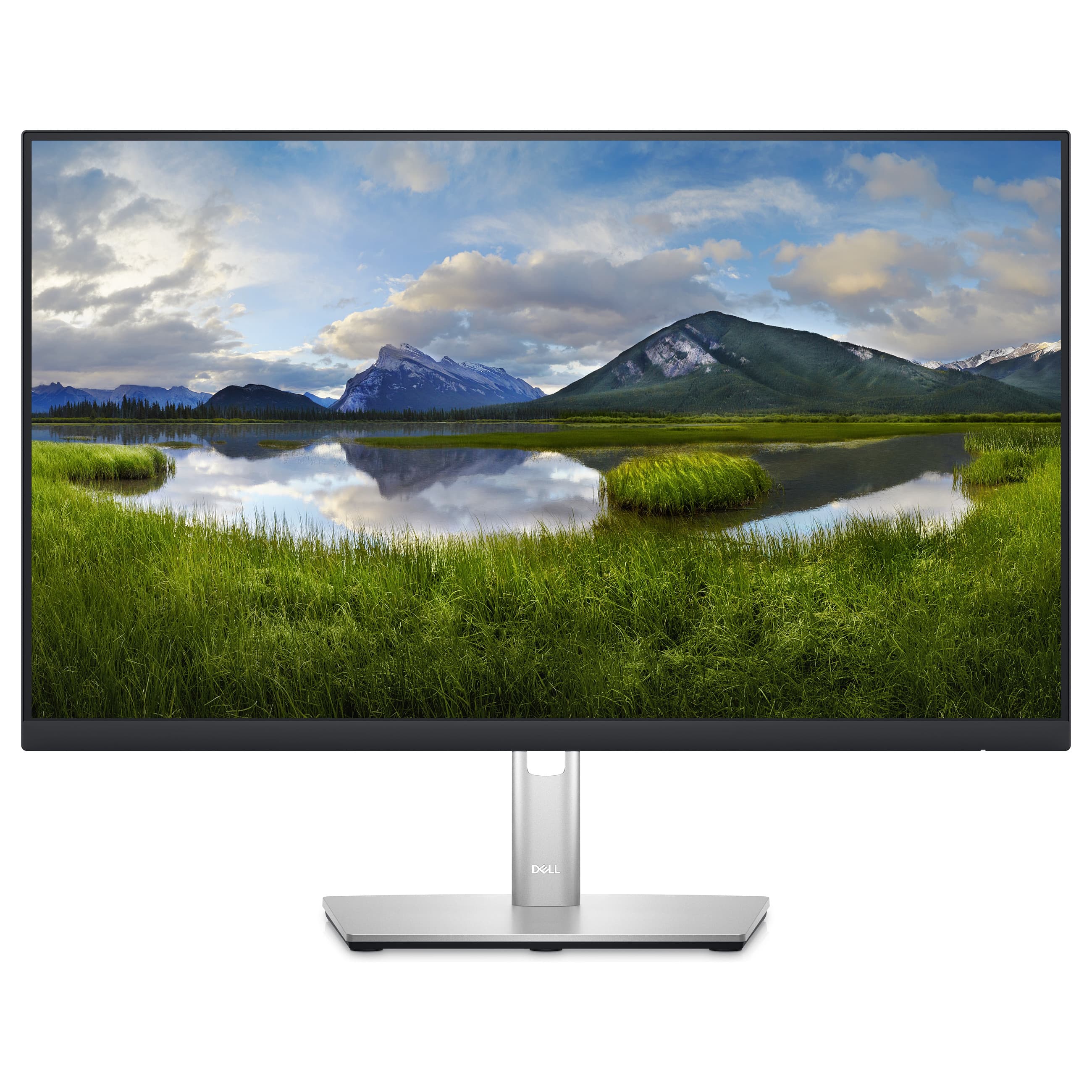 DELL P Series P2423DE computer monitor