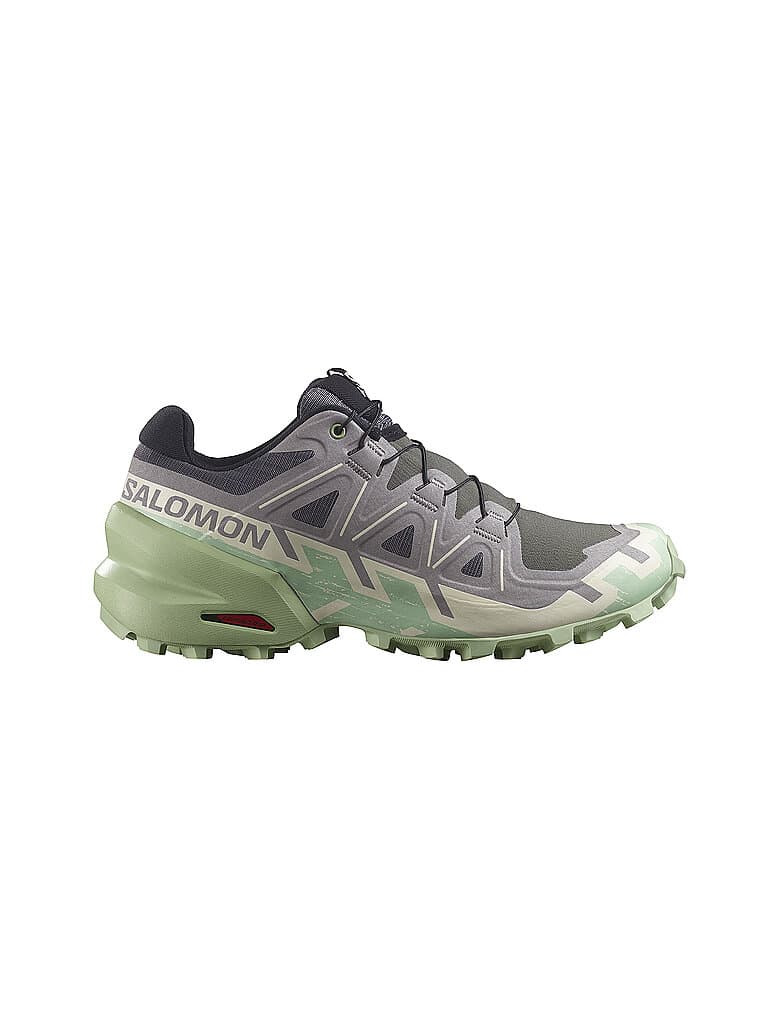 SALOMON Damen Traillaufschuhe Speedcross 6 grau | 42 2/3