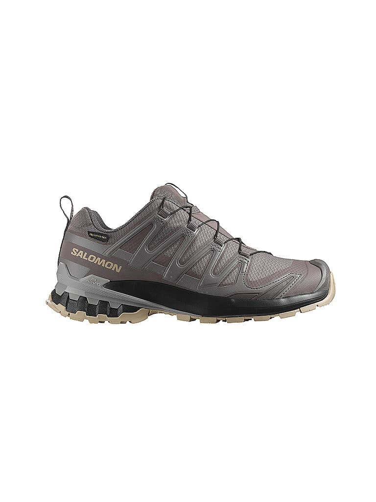 SALOMON Damen Multifunktionsschuhe XA PRO 3D V9 GTX beere | 42