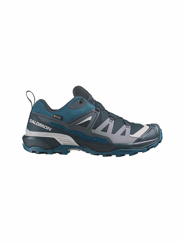 SALOMON Herren Multifunktionsschuhe X Ultra 360 GTX grau | 44