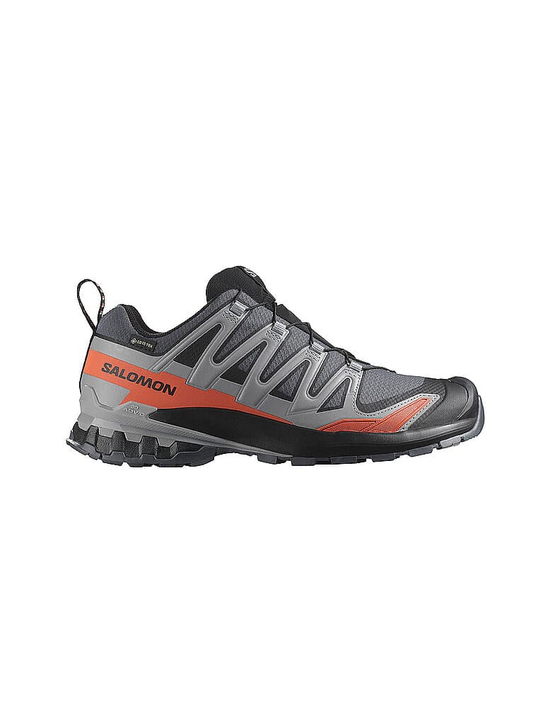 SALOMON Herren Multifunktionsschuhe XA Pro 3D V9 GTX grau | 48