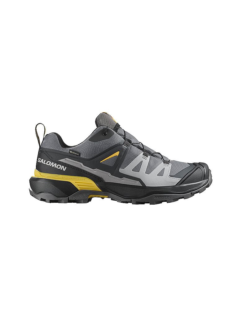SALOMON Herren Multifunktionsschuhe X ULTRA 360 GTX grau | 47 1/3