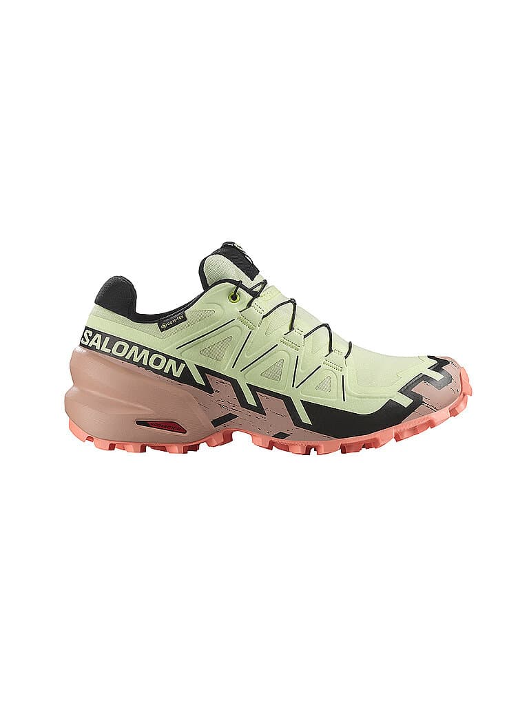 SALOMON Damen Traillaufschuhe Speedcross 6 GORE-TEX beige | 40 2/3