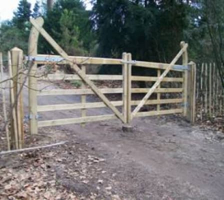 Poort 120x250cm toegangspoort kastanjehout