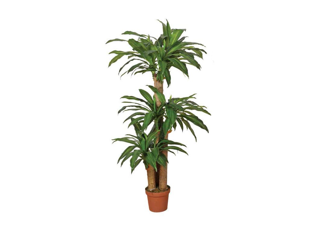Kunstplant Dracaena 145cm