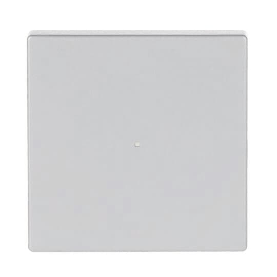 BJ Wippe 1fach 6230-10-83 Busch-free@home alusilber