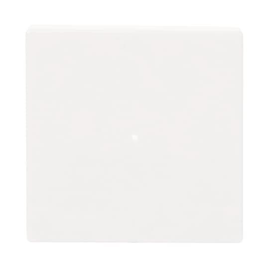 BJ Wippe 1-fach 6230-10-84 Busch-free@home