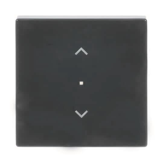 BJ Wippe 1-fach,Symbol 6232-10-81 Jalousie Busch-free@home anthrazit