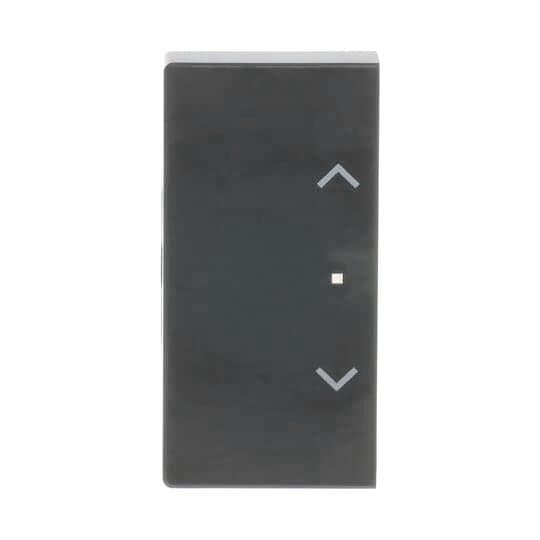 BJ Wippe links 2-fach,Symbol 6232-20-81 Jalousie Busch-free@home anthrazit