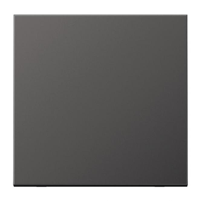 JG Wippe f.Schalter/Taster AL2990D Aluminium dark