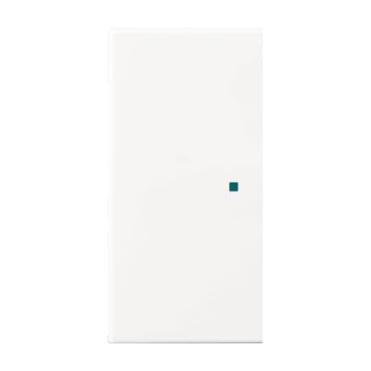 BJ Wippe 2-fach blind 6230-20-914 Busch-free@home alpinweiß balance SI