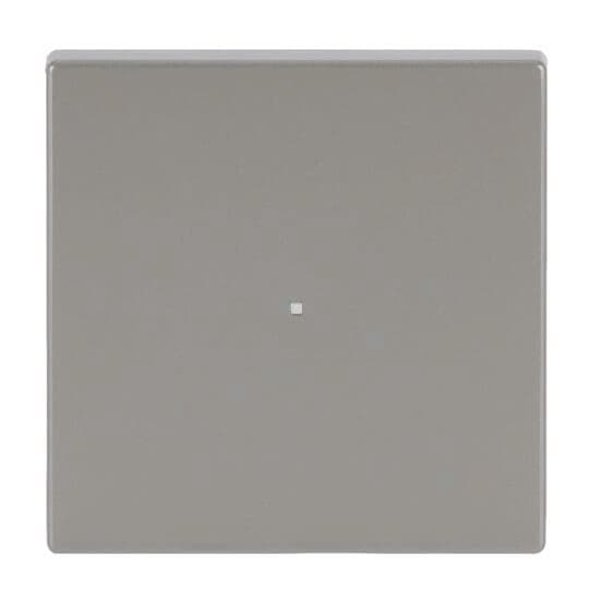BJ Wippe 1f edelstahl 6230-10-866 Busch-free@home pur Est
