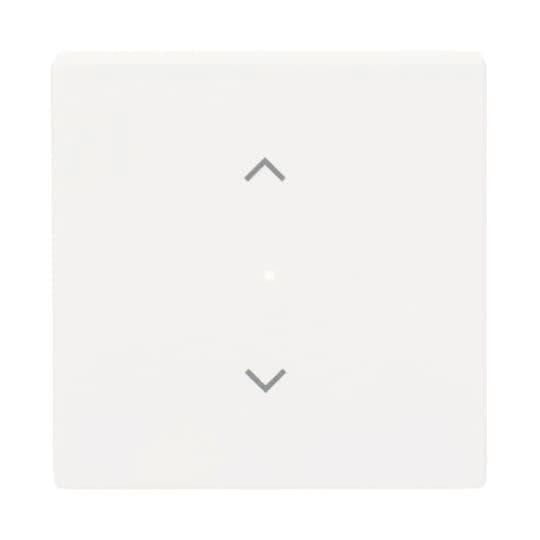 BJ Wippe 1f Jalousie matt 6232-10-884 sws Busch-free@home future linear