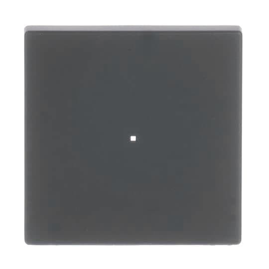 BJ Wippe 1f schwarz matt 6230-10-885 Busch-free@home future linear